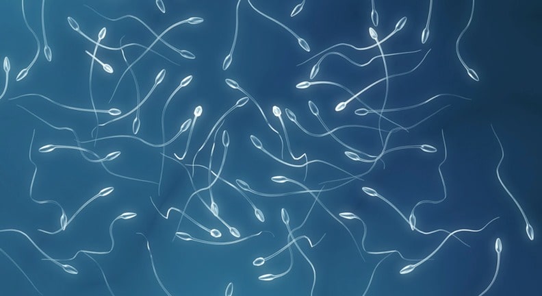 Диагностика мужского бесплодия