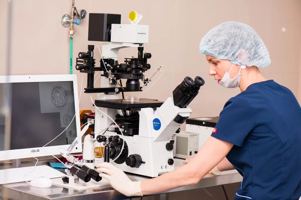 ЭКО в естественном цикле ЭКО в естественном цикле