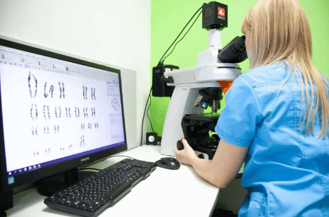 Криоконсервация (Витрификация) эмбрионов