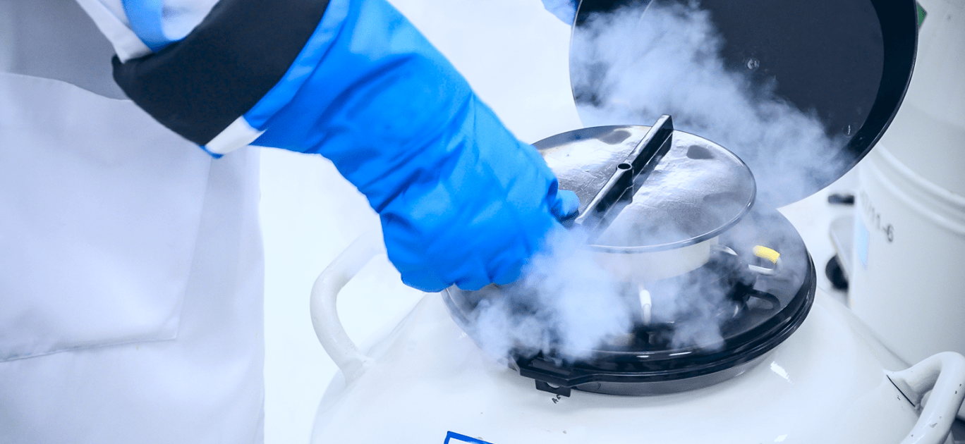 Перенесення заморожених ембріонів (кріоперенесення)